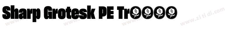 Sharp Grotesk PE Tr字体转换